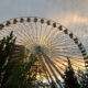 Low-angle view of a large Ferris wheel with red and blue cabins, partially obscured by trees at sunset.