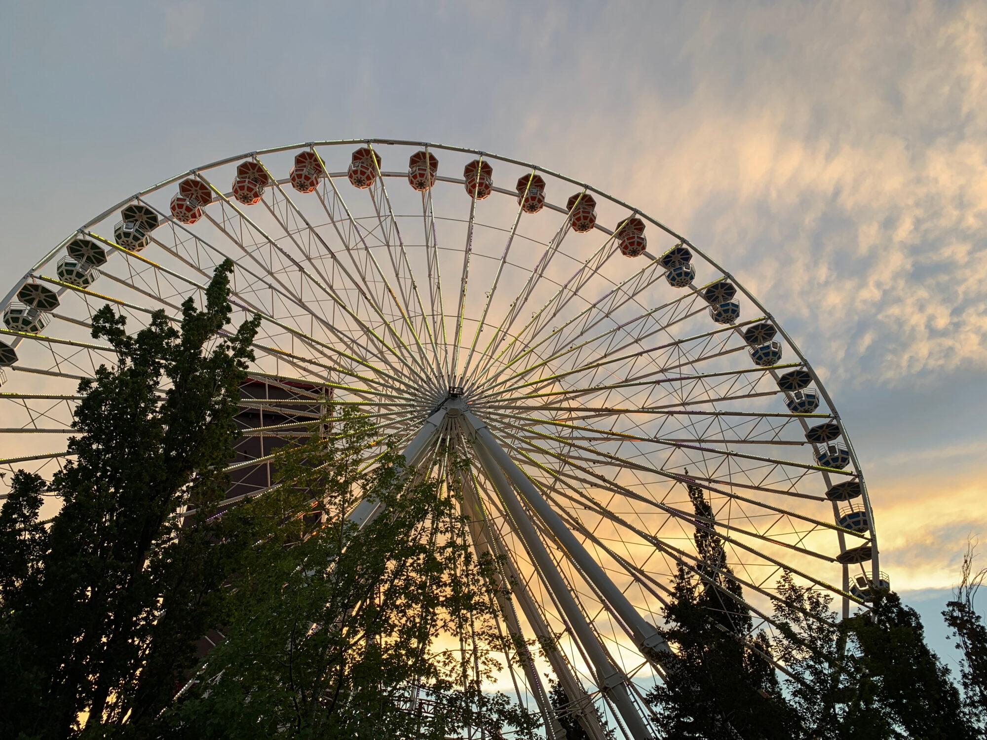Low-angle view of a large Ferris wheel with red and blue cabins, partially obscured by trees at sunset.
